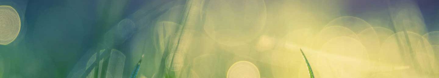 Product Carbon Footprint (PCF)